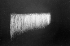 834249 Afbeelding van het Keuringsbureau van de N.S. (Concordiastraat) te Utrecht: bepaling stapellengte onbekende vezels.